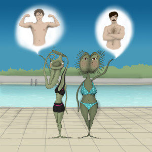 A+A Dividing animations for short movie by Cinebonbon 2009, character design 1