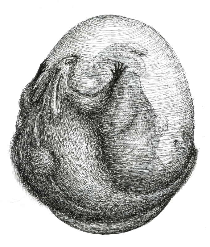 Rabbit - feeling giving, indian ink, 2010, 30x42 cm