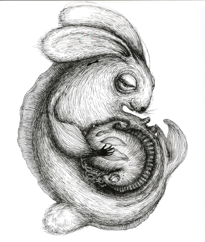 Rabbit - motherhood, indian ink, 2010, 30x42 cm