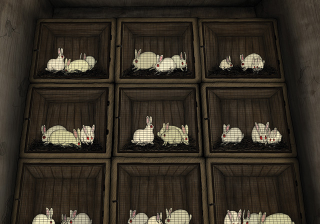 The rabbits